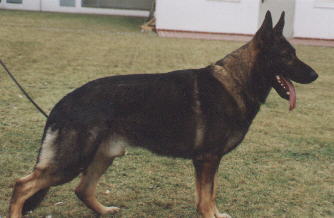 gary.jpg (13868 bytes)