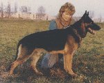 gildo.jpg (6119 bytes)