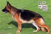 Shalome V Basis