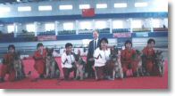 Beijing GSD specialty.jpg