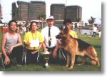 Foshan BOB GSD Apr 03.jpg