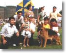 Foshan Best Local bred male GSD Dotter Apr 03.jpg