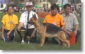 Foshan Best LocalBred Fe.jpg
