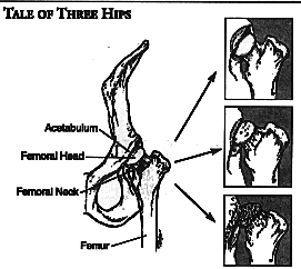 image35.gif (10880 bytes)