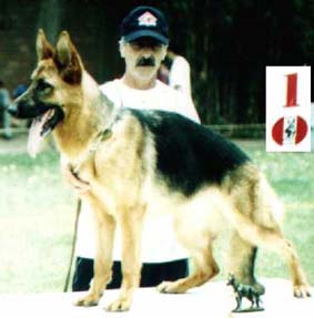 Xana Sholsbe First 9 - 12mo Female