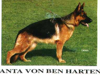 Siegerin 2003 Anta