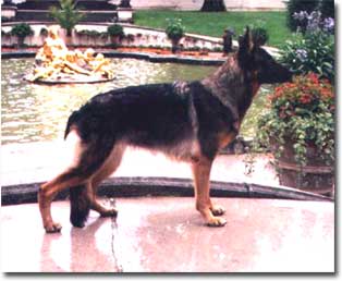 Fred's Timo daughter at Linderhof Castle.
