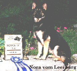 Nora vom Leerburg