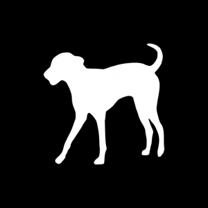 Sirius Dog