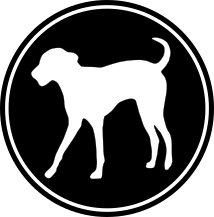 Sirius Dog